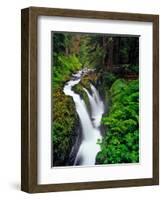 Sol Duc Falls in Olympic National Park, Washington, USA-Chuck Haney-Framed Photographic Print