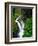 Sol Duc Falls in Olympic National Park, Washington, USA-Chuck Haney-Framed Photographic Print