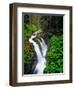 Sol Duc Falls in Olympic National Park, Washington, USA-Chuck Haney-Framed Photographic Print