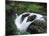 Sol Duc Falls, Olympic National Park, Unesco World Heritage Site, Washington State, USA-Colin Brynn-Mounted Photographic Print