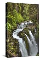 Sol Duc Falls, Olympic National Park, UNESCO World Heritage Site-Richard Maschmeyer-Stretched Canvas