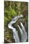 Sol Duc Falls, Olympic National Park, UNESCO World Heritage Site-Richard Maschmeyer-Mounted Photographic Print