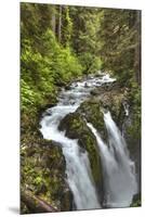 Sol Duc Falls, Olympic National Park, UNESCO World Heritage Site-Richard Maschmeyer-Mounted Premium Photographic Print