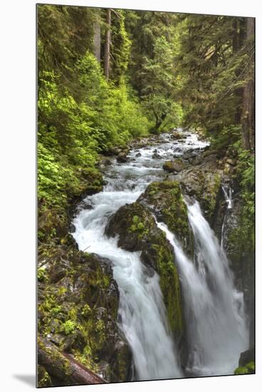 Sol Duc Falls, Olympic National Park, UNESCO World Heritage Site-Richard Maschmeyer-Mounted Premium Photographic Print