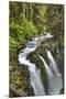 Sol Duc Falls, Olympic National Park, UNESCO World Heritage Site-Richard Maschmeyer-Mounted Premium Photographic Print