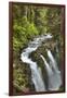 Sol Duc Falls, Olympic National Park, UNESCO World Heritage Site-Richard Maschmeyer-Framed Photographic Print