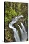 Sol Duc Falls, Olympic National Park, UNESCO World Heritage Site-Richard Maschmeyer-Stretched Canvas