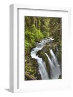 Sol Duc Falls, Olympic National Park, UNESCO World Heritage Site-Richard Maschmeyer-Framed Photographic Print