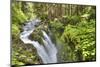 Sol Duc Falls, Olympic National Park, UNESCO World Heritage Site-Richard Maschmeyer-Mounted Photographic Print