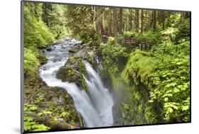 Sol Duc Falls, Olympic National Park, UNESCO World Heritage Site-Richard Maschmeyer-Mounted Photographic Print