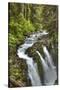 Sol Duc Falls, Olympic National Park, UNESCO World Heritage Site-Richard Maschmeyer-Stretched Canvas