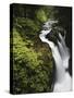 Sol Duc Falls, Olympic National Park, Washington, Usa-Adam Jones-Stretched Canvas