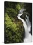 Sol Duc Falls, Olympic National Park, Washington, Usa-Adam Jones-Stretched Canvas