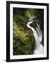 Sol Duc Falls, Olympic National Park, Washington, Usa-Adam Jones-Framed Premium Photographic Print