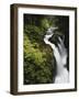 Sol Duc Falls, Olympic National Park, Washington, Usa-Adam Jones-Framed Photographic Print