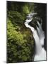 Sol Duc Falls, Olympic National Park, Washington, Usa-Adam Jones-Mounted Photographic Print