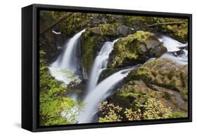 Sol Duc Falls, Olympic National Park-Ken Archer-Framed Stretched Canvas