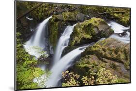 Sol Duc Falls, Olympic National Park-Ken Archer-Mounted Photographic Print