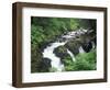 Sol Duc Falls, Olympic Rainforest, Olympic National Park, Washington, USA-Adam Jones-Framed Photographic Print