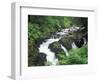 Sol Duc Falls, Olympic Rainforest, Olympic National Park, Washington, USA-Adam Jones-Framed Photographic Print
