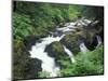 Sol Duc Falls, Olympic Rainforest, Olympic National Park, Washington, USA-Adam Jones-Mounted Photographic Print