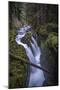 Sol Duc Falls-Belinda Shi-Mounted Photographic Print