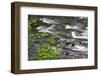 Sol Duc River Flowing over Rocks-James Randklev-Framed Photographic Print