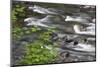 Sol Duc River Flowing over Rocks-James Randklev-Mounted Photographic Print