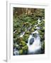 Sol Duc River Valley Stream-James Randklev-Framed Photographic Print