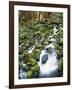 Sol Duc River Valley Stream-James Randklev-Framed Photographic Print