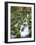 Sol Duc River Valley Stream-James Randklev-Framed Photographic Print