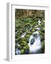 Sol Duc River Valley Stream-James Randklev-Framed Photographic Print