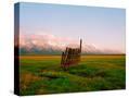 Stretched Canvas