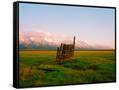 Canvas Black