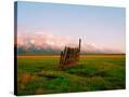 Stretched Canvas