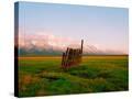 Stretched Canvas