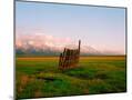 Wood Mount