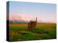 Stretched Canvas