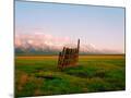 Wood Mount