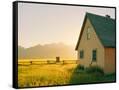 Canvas Black