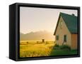 Canvas Black