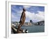 Solace in the Wind by Max Patte, Wellington, North Island, New Zealand, Pacific-Richard Cummins-Framed Photographic Print