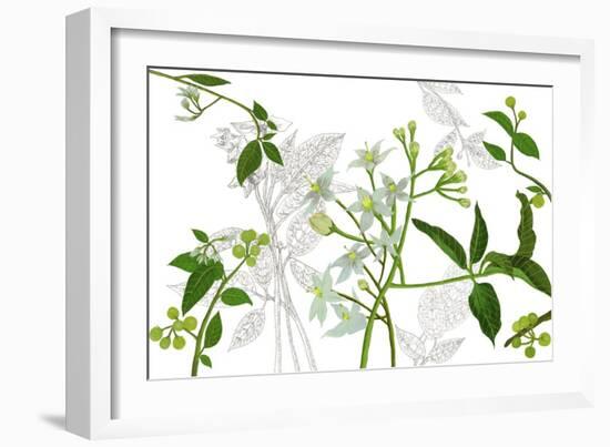 Solanum I-Melissa Wang-Framed Premium Giclee Print