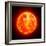 Solar Activity, Artwork-SCIEPRO-Framed Premium Photographic Print