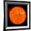 Solar Activity on the Sun-Stocktrek Images-Framed Photographic Print