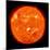 Solar Activity on the Sun-Stocktrek Images-Mounted Photographic Print