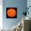 Solar Activity on the Sun-Stocktrek Images-Photographic Print displayed on a wall