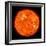 Solar Activity on the Sun-Stocktrek Images-Framed Photographic Print