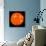 Solar Activity on the Sun-Stocktrek Images-Photographic Print displayed on a wall