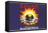 Solar Blackberry Label-null-Framed Stretched Canvas